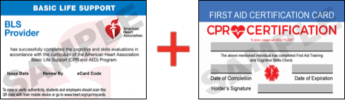 Sample American Heart Association AHA BLS CPR Card Certification and First Aid Certification Card from CPR Certification Pasadena