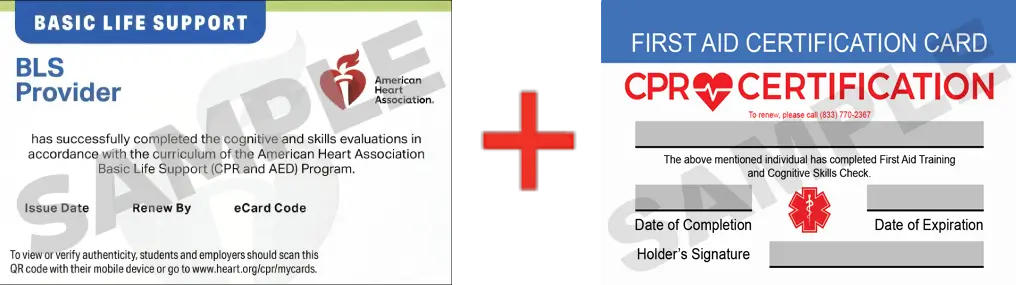 Sample American Heart Association AHA BLS CPR Card Certification and First Aid Certification Card from CPR Certification Pasadena